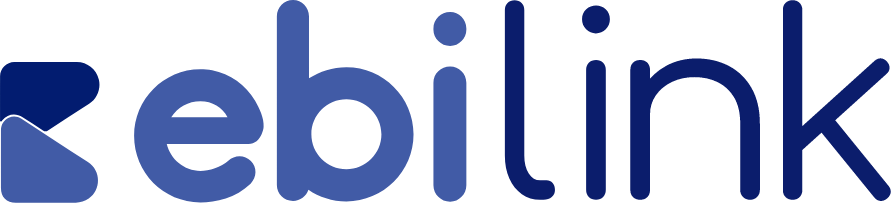 ebipay logo